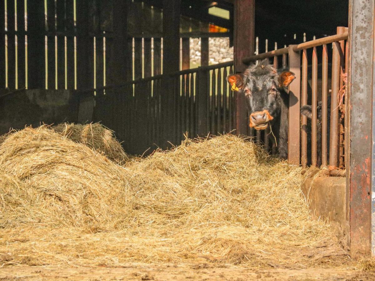 Stable Cottage كيركبي ستيفين المظهر الخارجي الصورة